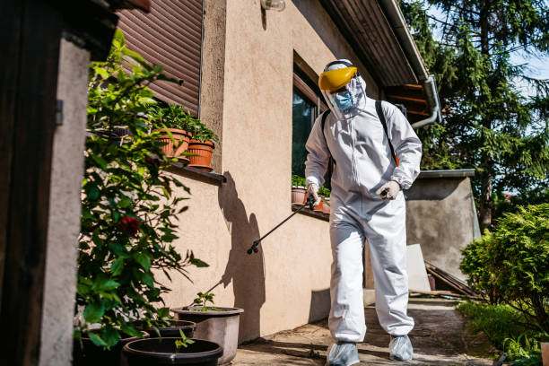 Best Affordable Pest Control Services  in Littleton, CO
