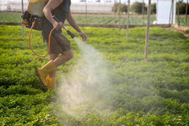 Best Exterminator Services  in Littleton, CO