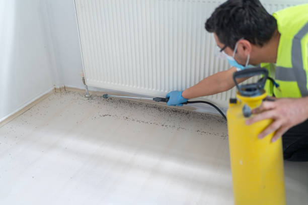 Best Pest Prevention Services  in Littleton, CO