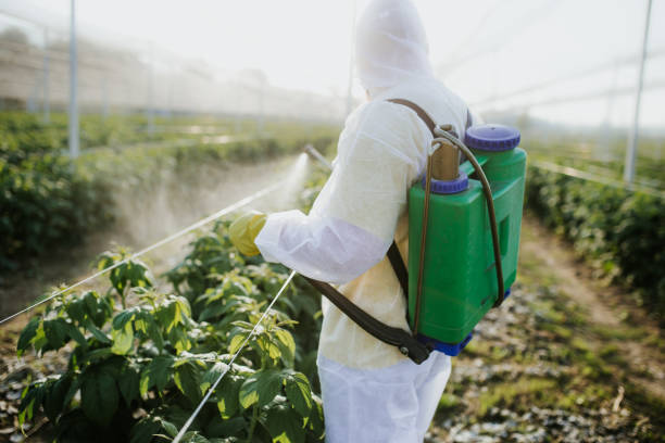 Best Mosquito Control Services  in Littleton, CO